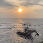 Shruti Seth Instagram - You know you’re in Goa when… #sea #sun #fields #field #palms #cocunut #goa #travel #shoot #shruphotodiary