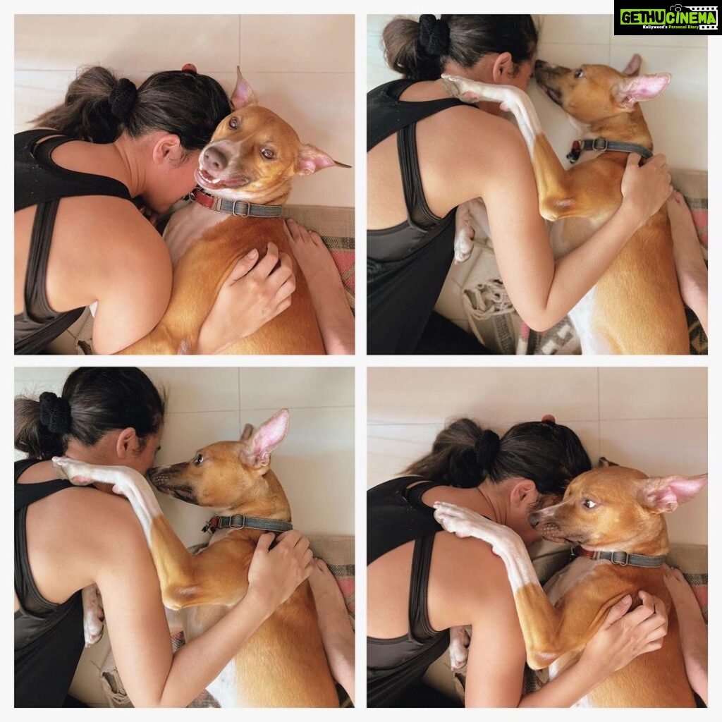 Shruti Seth Instagram - The best kind of love 📸 @dontpanic79 #mydog #dogsofinstagram #indie #motutitawaysethaslam #shruphotodiary
