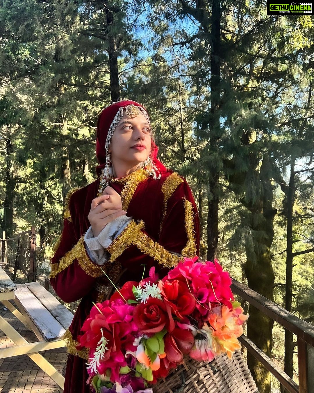 Shruti Sharma Instagram - My never ending love for Pahad and #pahadiculture ❄️ Me in 4 degree temperature getting the mandatory pahadi outfit pictures 😛🙈 #travel #lifegoals #indianwear #frozeninside #mountains Himalayan View, Nainital