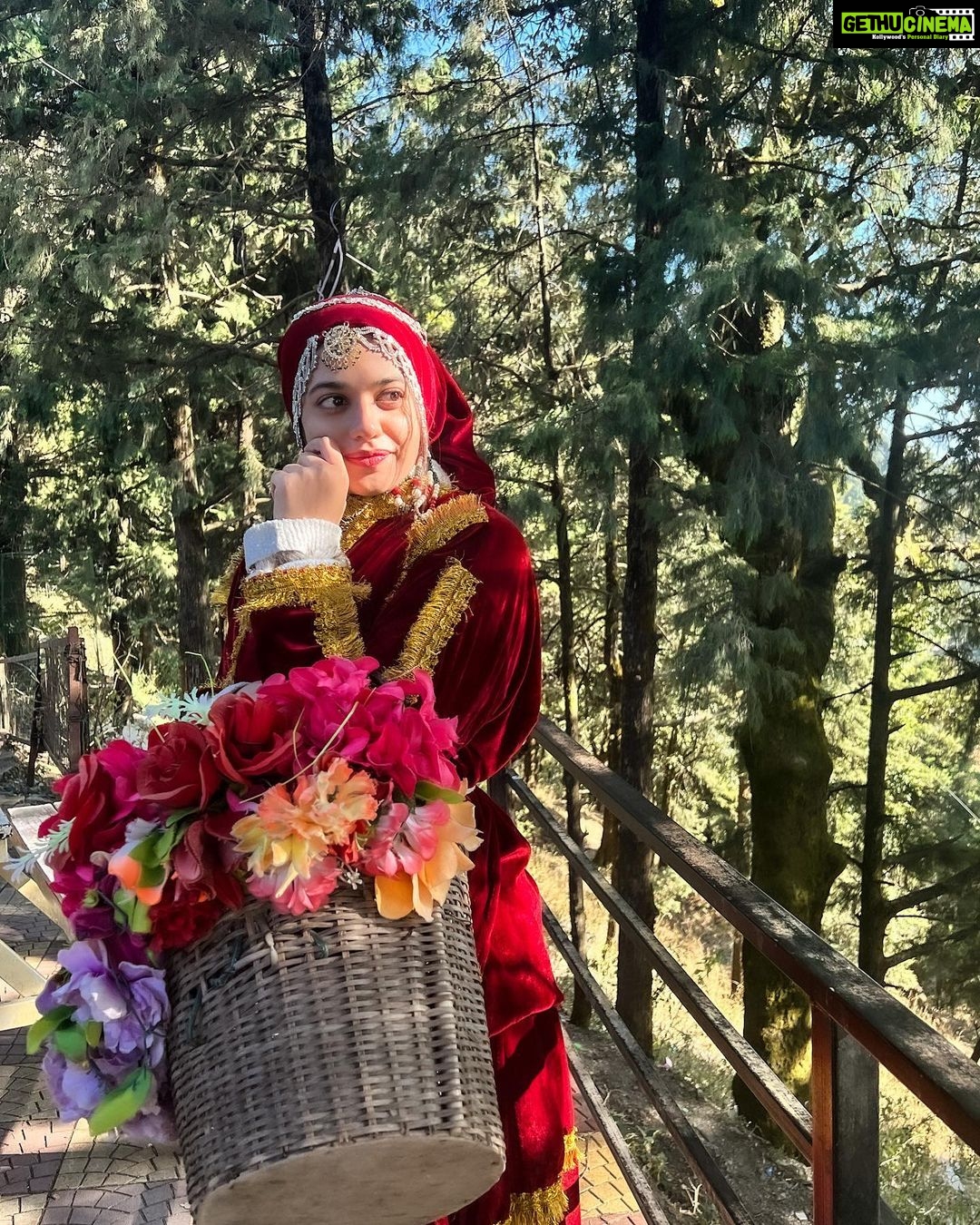 Shruti Sharma Instagram - My never ending love for Pahad and #pahadiculture ❄️ Me in 4 degree temperature getting the mandatory pahadi outfit pictures 😛🙈 #travel #lifegoals #indianwear #frozeninside #mountains Himalayan View, Nainital