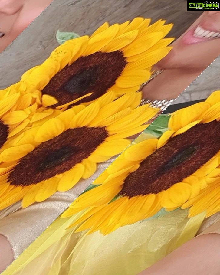 Shruti Ulfat Instagram - Sunflower Sunshine Shruti ... have a sunshine day everybody ππ»π #ππShrutiπ» . . . #shrutipanwar #actor #actorslife #yellowlove #favcolour #favflower #favme