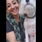 Shruti Ulfat Instagram – Hate Has Caused A Lot Of Problems In This World
But Has Not Solved One Yet…
Maya Angelou
#abhinahitohkabhinahi
@handsthatheal_ @bombayanimalrights @mumbaianimalassociation_maa @ngothankyouearth
#indiauniteforanimalrights
@nagpurcp @NagpurPolice @ngpnmc
@firdosmirza
@Dev_Fadnavis
@nitin_gadkari
@nmccommissioner
#nagpur #nagpurnews