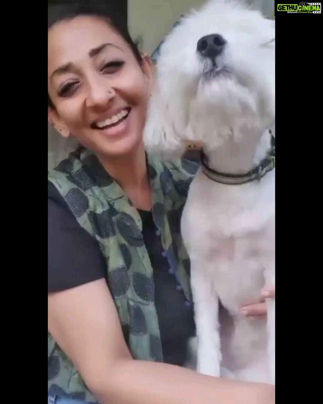 Shruti Ulfat Instagram - Hate Has Caused A Lot Of Problems In This World But Has Not Solved One Yet... Maya Angelou #abhinahitohkabhinahi @handsthatheal_ @bombayanimalrights @mumbaianimalassociation_maa @ngothankyouearth #indiauniteforanimalrights @nagpurcp @NagpurPolice @ngpnmc @firdosmirza @Dev_Fadnavis @nitin_gadkari @nmccommissioner #nagpur #nagpurnews