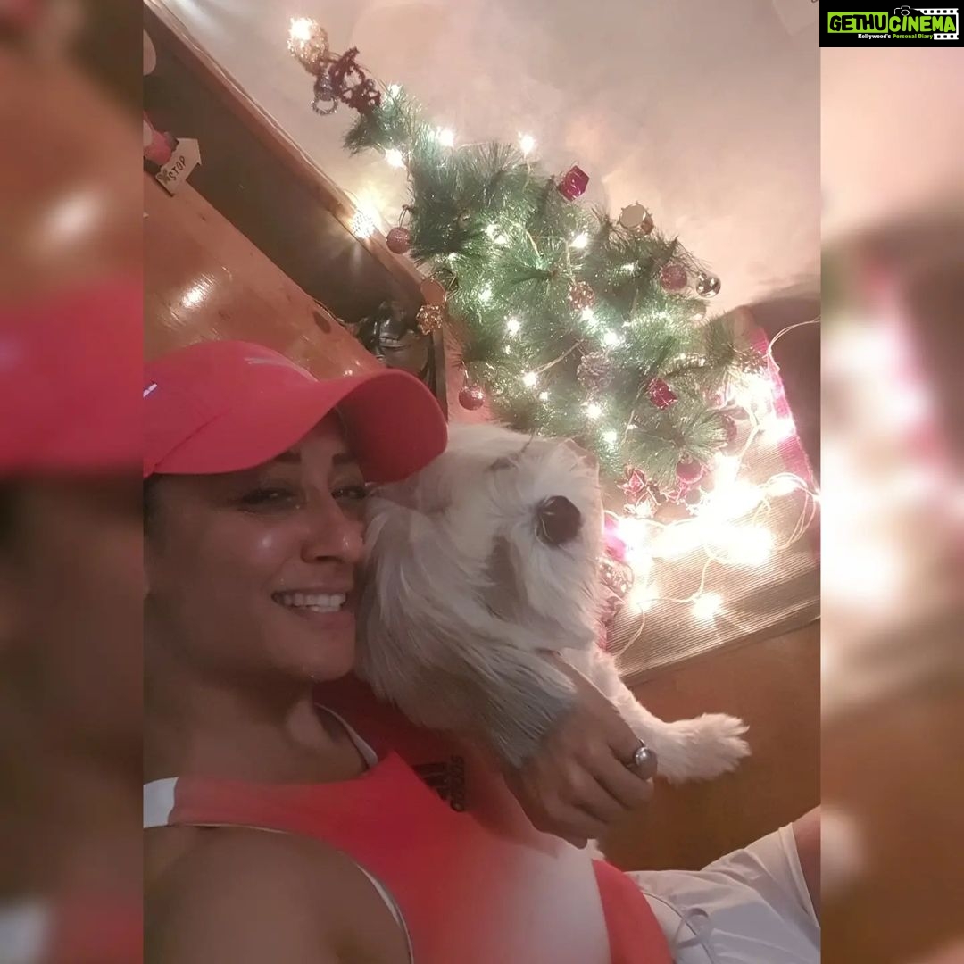 Shruti Ulfat Instagram - 🎄, me n Olly @meolly2018 . . . #shrutipanwar #olly #xmas #festive #happiness #love #togetherness #holidaymood #family