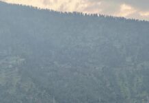 Sidharth Malhotra Instagram - Want to go BACK to nature. #naturelover #outdoorjunkie #SidFit Manali, Himachal Pradesh