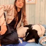 Simran Budharup Instagram - Kitne Ki Milegi Ye Nahi Wali?? #crazy #funny #reel #puppy #love #life #comedy #puppylove #puppiesofinstagram #dog #companion #set