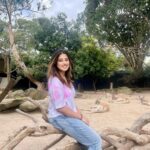 Somi Khan Instagram – Zoo zoo zoo 🦘 Taronga Zoo