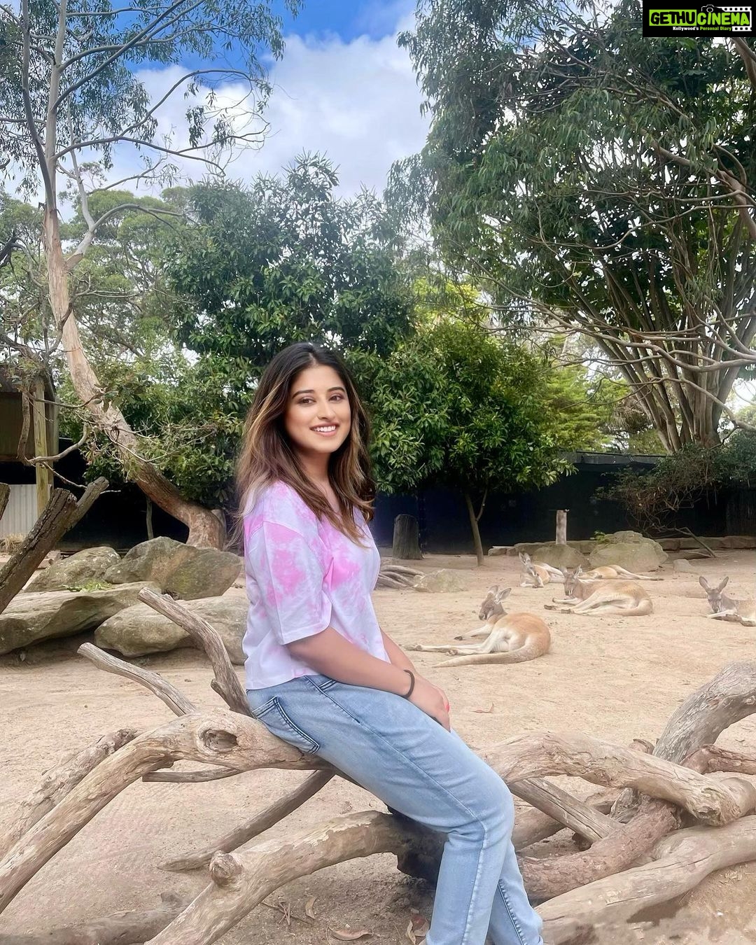 Somi Khan Instagram - Zoo zoo zoo 🦘 Taronga Zoo