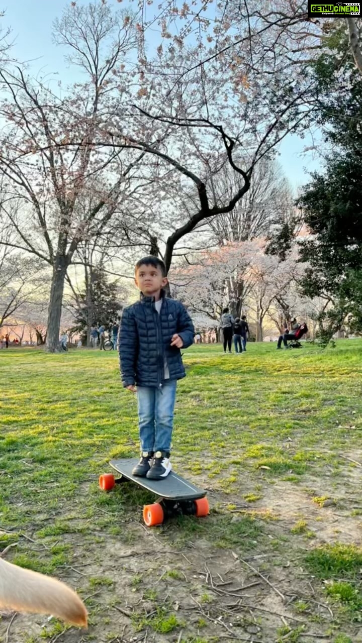 Soumya Seth Instagram - Only because this tune is so fun!! #cherryblossom Washington D.C.