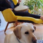 Soumya Seth Instagram – This balmy drum is actually very meditative!! Maggi is in love with it❤️❤️❤️ Great Falls, Virginia