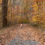Soumya Seth Instagram - 🍂🍂🍁🍃🍃 Life is a blessing. Experiences in this life makes it more beautiful!! Great Falls, Virginia