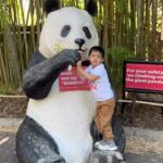 Soumya Seth Instagram – Memorable moments with my little one at Smithsonian National Zoo, creating joyful memories that will last a lifetime! Summer of 2022