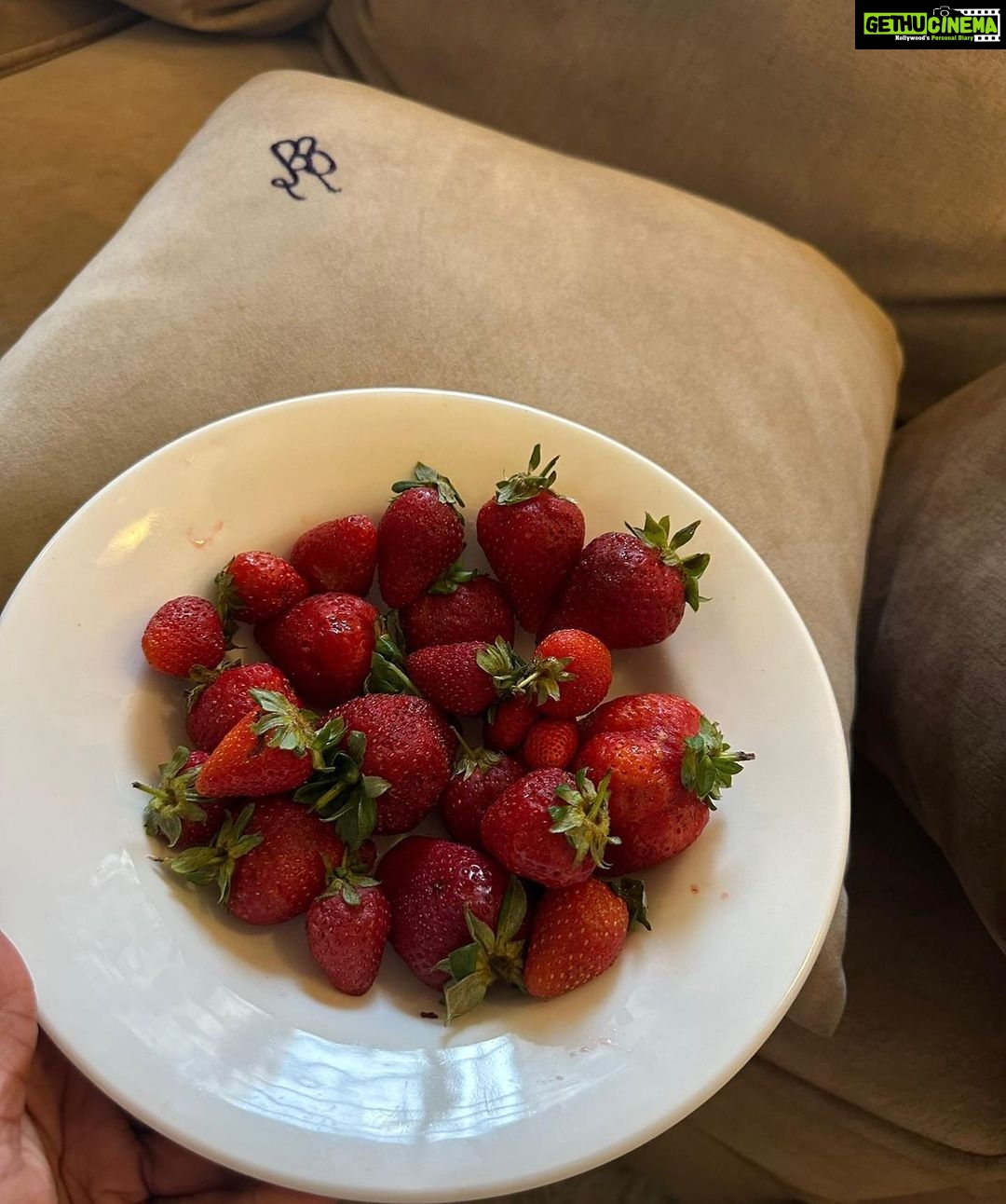 Soundarya Sharma Instagram - Friday Afternoon 🍓🐾✨ #Mood