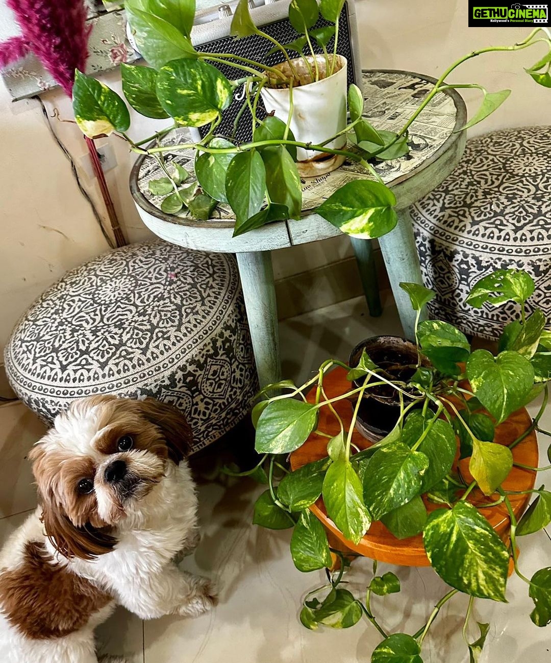 Soundarya Sharma Instagram - Friday Afternoon 🍓🐾✨ #Mood