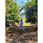 Srishti Jain Instagram - Oversized monochrome with a pop of neon is a vibe😍 . . . . . . . . . . . . . . . . . . . #nature #naturephotography #monochrome #neon #lavender #greenwood #naturelovers #monochromeoutfit #billieeilish #jordans #naturetrail #instagood #insta #instalike #instafashion #picoftheday #explore #explorepage #exploremore #love Mumbai, Maharashtra