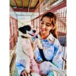 Srishti Jain Instagram - This is what I did on my birthday! I spent it with these beautiful young girls and these cute little munchkins! 25 years of being on this planet, it’s a milestone and I wanted to give back to the society that has given me so so much! The pure joy of sharing happiness is unbelievable! I visited Desire Society which is an orphanage for young girls! These girls are so welcoming and warm, it was great to see such happy faces and to know that they’re taken care of and loved! They’re all such beautiful souls! This is in Malad West and I would encourage anyone who can Manage to donate, volunteer or spend time with them please do❤️ The second place I visited was the Welfare of Stray Dog, I met Mayur and he is an amazing amazing person! He took me around to meet all the dogs and cats he had rescued and they all seemed to love him so so much, he knew each of them personally and they were all so friendly! Please remember to adopt and give these beautiful babies a good home! They were all just looking for love!❤️ some badly Injured and abused and some abandoned but all beautiful as can be! Again please donate and volunteer and visit❤️ this one is in Wadala❤️ 25th was memorable! I feel so so overwhelmed by all the love! I’m happy to have spent my day surrounded by kids and munchkins! Starting my 25th year with more gratitude and humbled , and always remembering to be thankful for everything that I have❤️ And a special Thankyou to Papa @drmaneesh_jain and @vvaannaturals for donating these nutritional supplements for the dogs and cats at the Welfare if Stray Dog for a good cause❤️ love you papa . . . . . . . . . . . . #kids #munchkin #dogs #cats #gratitude #fun #happy #milestone #25thbirthday #instagram #instagood #instalike #explore #explorepage #newpost #pleaseadopt #giveback #greatful #humbled #love #overwhelmedbymyblessings Mumbai, Maharashtra