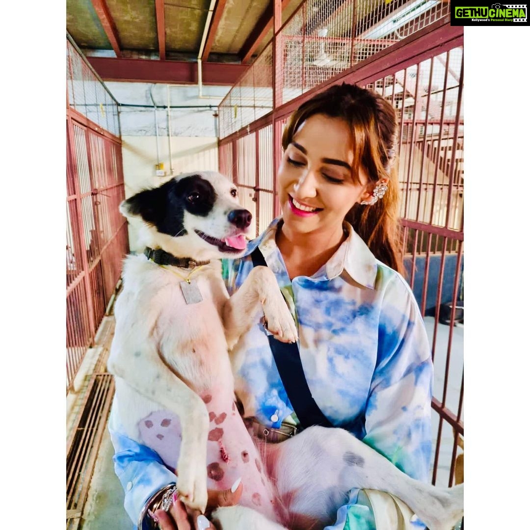 Srishti Jain Instagram - This is what I did on my birthday! I spent it with these beautiful young girls and these cute little munchkins! 25 years of being on this planet, it’s a milestone and I wanted to give back to the society that has given me so so much! The pure joy of sharing happiness is unbelievable! I visited Desire Society which is an orphanage for young girls! These girls are so welcoming and warm, it was great to see such happy faces and to know that they’re taken care of and loved! They’re all such beautiful souls! This is in Malad West and I would encourage anyone who can Manage to donate, volunteer or spend time with them please do❤️ The second place I visited was the Welfare of Stray Dog, I met Mayur and he is an amazing amazing person! He took me around to meet all the dogs and cats he had rescued and they all seemed to love him so so much, he knew each of them personally and they were all so friendly! Please remember to adopt and give these beautiful babies a good home! They were all just looking for love!❤️ some badly Injured and abused and some abandoned but all beautiful as can be! Again please donate and volunteer and visit❤️ this one is in Wadala❤️ 25th was memorable! I feel so so overwhelmed by all the love! I’m happy to have spent my day surrounded by kids and munchkins! Starting my 25th year with more gratitude and humbled , and always remembering to be thankful for everything that I have❤️ And a special Thankyou to Papa @drmaneesh_jain and @vvaannaturals for donating these nutritional supplements for the dogs and cats at the Welfare if Stray Dog for a good cause❤️ love you papa . . . . . . . . . . . . #kids #munchkin #dogs #cats #gratitude #fun #happy #milestone #25thbirthday #instagram #instagood #instalike #explore #explorepage #newpost #pleaseadopt #giveback #greatful #humbled #love #overwhelmedbymyblessings Mumbai, Maharashtra