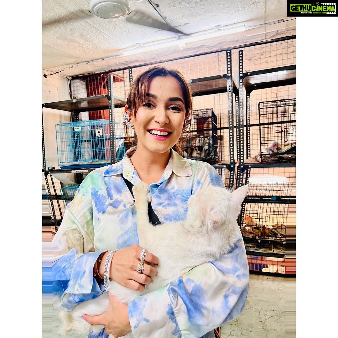 Srishti Jain Instagram - This is what I did on my birthday! I spent it with these beautiful young girls and these cute little munchkins! 25 years of being on this planet, it’s a milestone and I wanted to give back to the society that has given me so so much! The pure joy of sharing happiness is unbelievable! I visited Desire Society which is an orphanage for young girls! These girls are so welcoming and warm, it was great to see such happy faces and to know that they’re taken care of and loved! They’re all such beautiful souls! This is in Malad West and I would encourage anyone who can Manage to donate, volunteer or spend time with them please do❤️ The second place I visited was the Welfare of Stray Dog, I met Mayur and he is an amazing amazing person! He took me around to meet all the dogs and cats he had rescued and they all seemed to love him so so much, he knew each of them personally and they were all so friendly! Please remember to adopt and give these beautiful babies a good home! They were all just looking for love!❤️ some badly Injured and abused and some abandoned but all beautiful as can be! Again please donate and volunteer and visit❤️ this one is in Wadala❤️ 25th was memorable! I feel so so overwhelmed by all the love! I’m happy to have spent my day surrounded by kids and munchkins! Starting my 25th year with more gratitude and humbled , and always remembering to be thankful for everything that I have❤️ And a special Thankyou to Papa @drmaneesh_jain and @vvaannaturals for donating these nutritional supplements for the dogs and cats at the Welfare if Stray Dog for a good cause❤️ love you papa . . . . . . . . . . . . #kids #munchkin #dogs #cats #gratitude #fun #happy #milestone #25thbirthday #instagram #instagood #instalike #explore #explorepage #newpost #pleaseadopt #giveback #greatful #humbled #love #overwhelmedbymyblessings Mumbai, Maharashtra