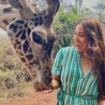 Srishty Rode Instagram - Day One Spent Well 💚🇰🇪 #kenya #nairobi Outfit @veromodaindia . . Use VMxSrishty10 to get an additional 10% off on www.veromoda.in . - @holidayinnnairobi #HolidayInnNairobi @goldcoastfilmsofficial #VEROMODAIndia #VEROMODATravelDiaries #VEROMODAItsMe #VEROMODAWomen #VMxSrishty #VMSS23