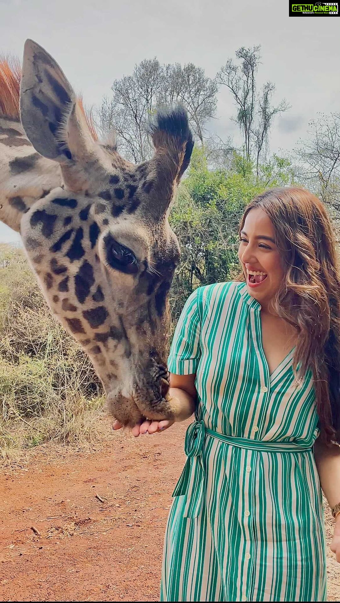 Srishty Rode Instagram - Day One Spent Well ππ°πͺ #kenya #nairobi Outfit @veromodaindia . . Use VMxSrishty10 to get an additional 10% off on www.veromoda.in . - @holidayinnnairobi #HolidayInnNairobi @goldcoastfilmsofficial #VEROMODAIndia #VEROMODATravelDiaries #VEROMODAItsMe #VEROMODAWomen #VMxSrishty #VMSS23