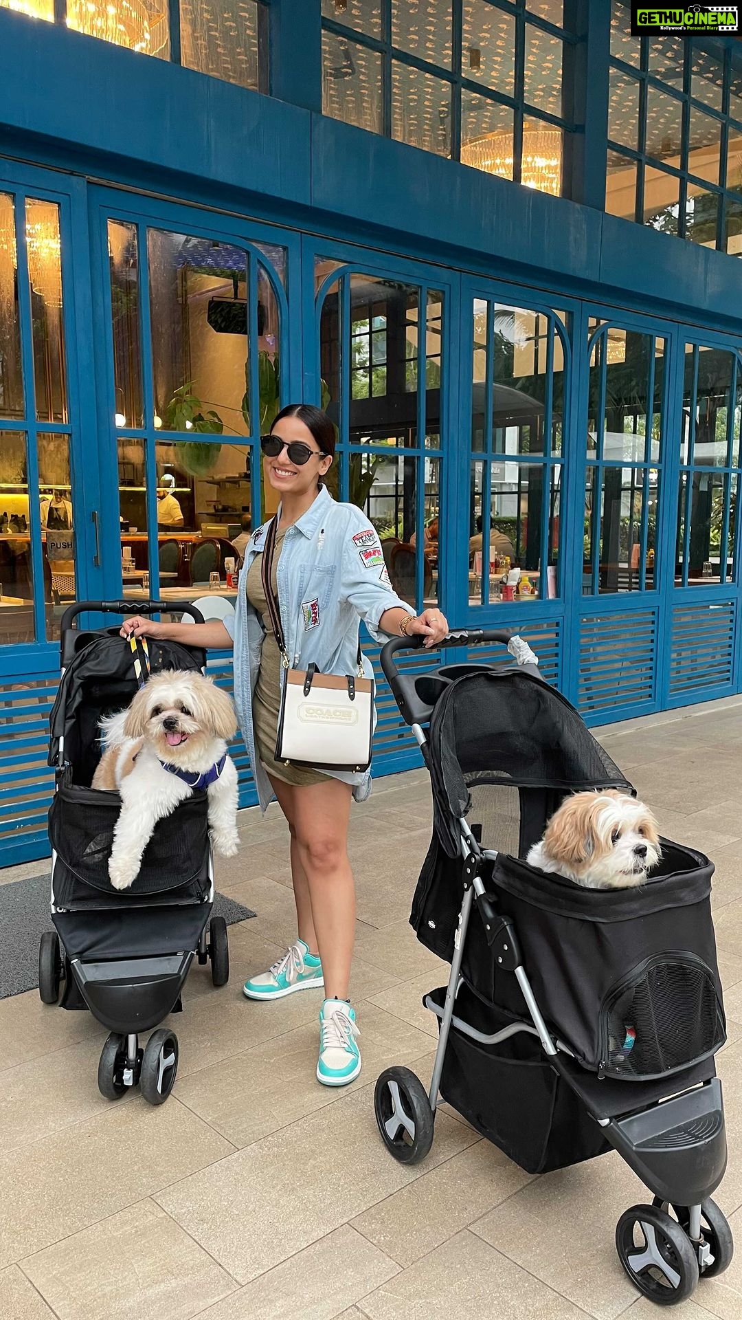 Srishty Rode Instagram - My World ❤️ #TiaraRode #TroyRode Babies Day Out 🐶 🐶 . . #reels #reelsinstagram #reelitfeelit #babiesdayout #puppylove #puppy #dogsofinstagram #doglover