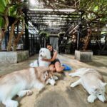 Srishty Rode Instagram - Happiness is 🐕❤️ Bangkok