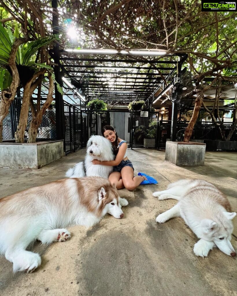 Srishty Rode Instagram - Happiness is 🐕❤️ Bangkok