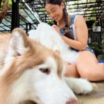 Srishty Rode Instagram - Happiness is 🐕❤️ Bangkok