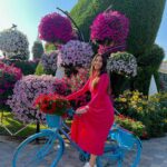 Srishty Rode Instagram - I Choose to have Magic And Miracles In my life 💖 . . . #miraclegarden #dubailife #dubaimiraclegarden #dubai @dubaimiraclegarden @lovindubai Dubai Miracle Garden
