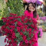 Srishty Rode Instagram - I Choose to have Magic And Miracles In my life 💖 . . . #miraclegarden #dubailife #dubaimiraclegarden #dubai @dubaimiraclegarden @lovindubai Dubai Miracle Garden