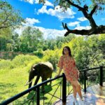 Srishty Rode Instagram - Making new friends with the locals 🐘❤️ . Outfit @veromodaindia . . Use VMxSrishty10 to get an additional 10% off on www.veromoda.in . @goldcoastfilmsofficial #VEROMODAIndia #VEROMODATravelDiaries #VEROMODAItsMe #VEROMODAWomen #VMxSrishty #VMSS23 Masai Mara - KENYA