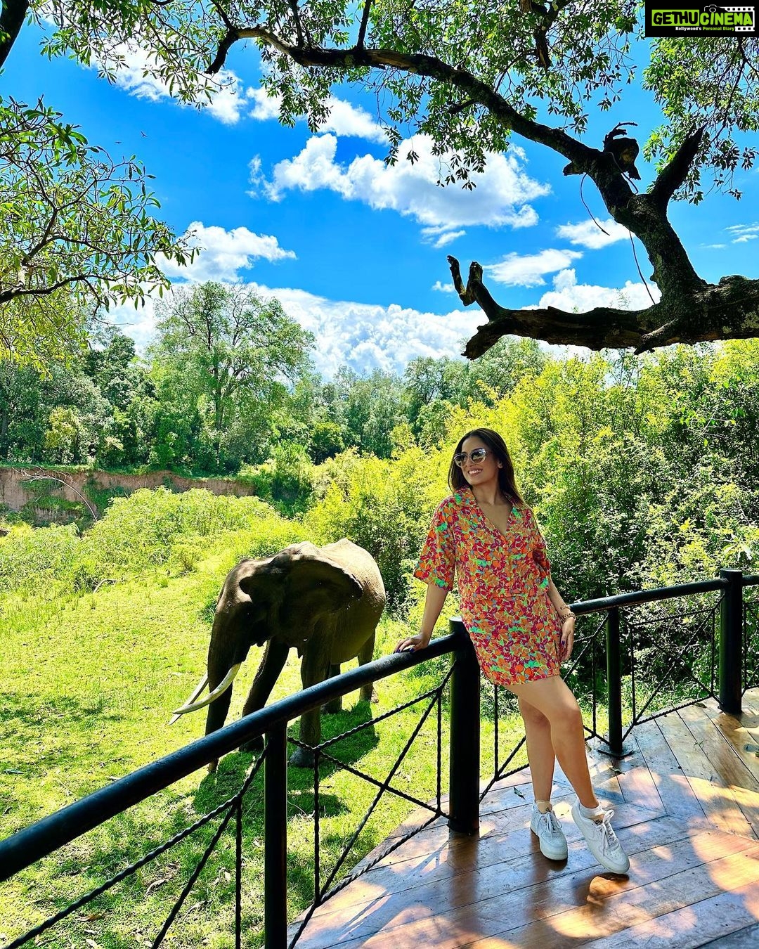 Srishty Rode Instagram - Making new friends with the locals 🐘❤️ . Outfit @veromodaindia . . Use VMxSrishty10 to get an additional 10% off on www.veromoda.in . @goldcoastfilmsofficial #VEROMODAIndia #VEROMODATravelDiaries #VEROMODAItsMe #VEROMODAWomen #VMxSrishty #VMSS23 Masai Mara - KENYA