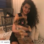 Sukirti Kandpal Instagram - Posted @withregram • @vosd.in OCTOBER 18TH – SUKIRTI KANDPAL SPONSORED A MEAL AT VOSD IN THE LOVING MEMORY OF HER PET DOG LAMA “As long as there is love and remembrance, there is no true loss.” One of the most painful moments in life is the loss of a beloved pet. We hope that the good times you spent with your sweet dog Lama embrace you like a warm hug when you miss him, Sukirti. In his fond memory, thank you for sponsoring a meal for hundreds of dogs living at VOSD. Despite all the odds they have faced, our babies lead healthy & happy lives today thanks to the support of kind souls like you. The nicest way you can remember a loved one is to do a good deed in their memory. Sponsor a meal for senior, special needs, abused & neglected dogs living permanently at the VOSD Sanctuary & Hospital and touch their lives forever. Visit vosd.in/sponsorameal or write to info@vosd.in to contribute.