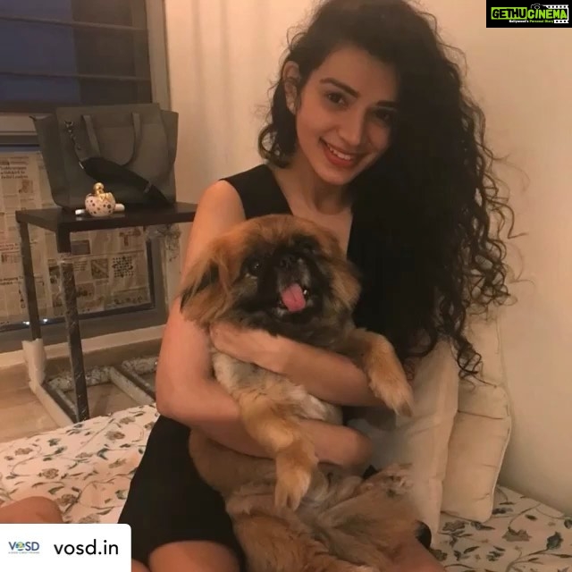 Sukirti Kandpal Instagram - Posted @withregram • @vosd.in OCTOBER 18TH – SUKIRTI KANDPAL SPONSORED A MEAL AT VOSD IN THE LOVING MEMORY OF HER PET DOG LAMA “As long as there is love and remembrance, there is no true loss.” One of the most painful moments in life is the loss of a beloved pet. We hope that the good times you spent with your sweet dog Lama embrace you like a warm hug when you miss him, Sukirti. In his fond memory, thank you for sponsoring a meal for hundreds of dogs living at VOSD. Despite all the odds they have faced, our babies lead healthy & happy lives today thanks to the support of kind souls like you. The nicest way you can remember a loved one is to do a good deed in their memory. Sponsor a meal for senior, special needs, abused & neglected dogs living permanently at the VOSD Sanctuary & Hospital and touch their lives forever. Visit vosd.in/sponsorameal or write to info@vosd.in to contribute.