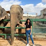 Sukirti Kandpal Instagram - Elephant love ❤️. Dubai, United Arab Emirates