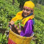 Sumbul Touqeer Khan Instagram - Kashmir main tu Kanyakumari ⭐️ Coonor Nilgris Tamil Nadu