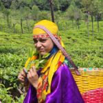 Sumbul Touqeer Khan Instagram - Kashmir main tu Kanyakumari ⭐️ Coonor Nilgris Tamil Nadu