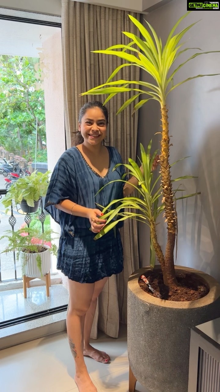 Sumona Chakravarti Instagram - Some things never change, and this is that nostalgic moment. It takes me back to when my love grew for plants and here i am now, reliving that same fond moment ššæāļø Head to my story which has the link to the full song & recreate a memory that this song reminds you of and use the hashtag #cokestudiobangla #Ad #RealMagic #cokestudiobangla #paidcollaboration
