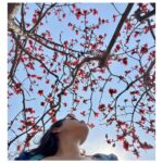 Sumona Chakravarti Instagram - “Through sun and rain, you will bloom all the same”. Morgan Harper Nichols 🌺🌸🌼 #HappyWomansDay