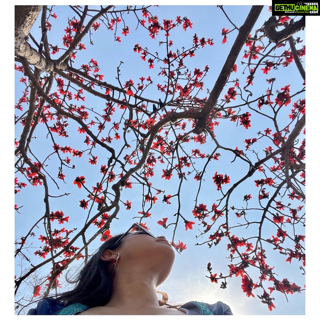 Sumona Chakravarti Instagram - “Through sun and rain, you will bloom all the same”. Morgan Harper Nichols 🌺🌸🌼 #HappyWomansDay