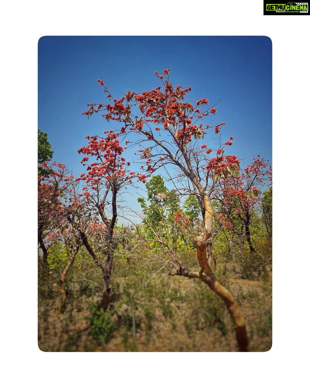 Sumona Chakravarti Instagram - আবার দেখা হবে ধন্যবাদ পশ্চিমবঙ্গ . 🦋🦚🌺 Purulia- Bankura-Birbhum-Alipurduar . #WestBengalDiaries #ShonarBengal #indianlandacape #shotoniphone #applephotography