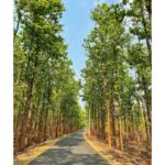 Sumona Chakravarti Instagram - আবার দেখা হবে ধন্যবাদ পশ্চিমবঙ্গ . 🦋🦚🌺 Purulia- Bankura-Birbhum-Alipurduar . #WestBengalDiaries #ShonarBengal #indianlandacape #shotoniphone #applephotography