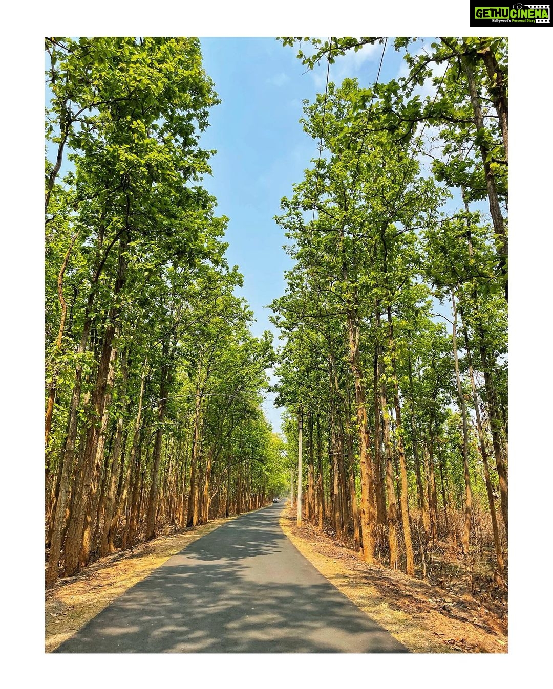 Sumona Chakravarti Instagram - আবার দেখা হবে ধন্যবাদ পশ্চিমবঙ্গ . 🦋🦚🌺 Purulia- Bankura-Birbhum-Alipurduar . #WestBengalDiaries #ShonarBengal #indianlandacape #shotoniphone #applephotography