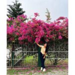 Sumona Chakravarti Instagram - আবার দেখা হবে ধন্যবাদ পশ্চিমবঙ্গ . 🦋🦚🌺 Purulia- Bankura-Birbhum-Alipurduar . #WestBengalDiaries #ShonarBengal #indianlandacape #shotoniphone #applephotography