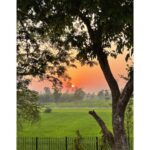 Sumona Chakravarti Instagram - March dump 🌻🐝 Kolkata- Sunderban- Darjeeling 🌸💜🌸 #iphonephotography #shotoniphone #indianlandscape #indiantourism #westbengaltourism #westbengaldiaries #wanderlusttravel #shonarbengal