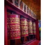 Sumona Chakravarti Instagram – March dump 
🌻🐝
Kolkata- Sunderban- Darjeeling 
🌸💜🌸

#iphonephotography #shotoniphone #indianlandscape #indiantourism #westbengaltourism #westbengaldiaries #wanderlusttravel #shonarbengal