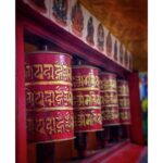Sumona Chakravarti Instagram - March dump 🌻🐝 Kolkata- Sunderban- Darjeeling 🌸💜🌸 #iphonephotography #shotoniphone #indianlandscape #indiantourism #westbengaltourism #westbengaldiaries #wanderlusttravel #shonarbengal