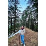 Sumona Chakravarti Instagram - पहाड़ों से बढ़ता प्यार । Part 2 🏔 Mashobra u took my breath away! 💚 Mountains. Snow. Hikes & Sunset in the forest. Cedar & Deodar 🌲 N the miraculous appearance of a 🌈 This picturesque heritage property @wildflowerhall ❣️ . Thank you Universe for letting me witness & experience this beauty! 🧿❤️🙏🏻 . #HimachalDiaries #incredibleindia #gypsysoul #ngtindia #outlooktraveller #desitraveller #wanderlusttravel #indiantourism #travelgram #storiesofindia #indianlandscape #cnntravellerindia #shotoniohone