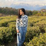 Sumona Chakravarti Instagram - Winter Sun needs no filter…🌞 Throwback to this beautiful cold day in Palampur. Major missing @thelodgeatwah 🌸 It’s time for a white new year … ❄️⛄️