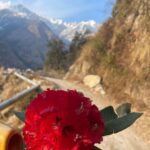 Sumona Chakravarti Instagram - पहाड़ों से बढ़ता प्यार । Part 1 🏔 Beautiful Palampur & Bir 🏔🪂 Thank you @thelodgeatwah for the awesome homestay experience. The food, the bonfire & jenga nights with uncle aunty, the conversations… thank you for the beautiful memories! Thank u Harmit @exsultravel for the mountain jeep safari & fun picnic experience! #HimachalDiaries #incredibleindia #nofilterneeded #gypsysoul #ngtindia #outlooktraveller #desitraveller #wanderlusttravel #indiantourism #travelgram #storiesofindia #indianlandscape #cnntravellerindia #shotoniohone